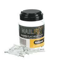 NLS 30219 | Nylon Nail In Anchors Flat Head 5mm x 25mm 100 box additional image