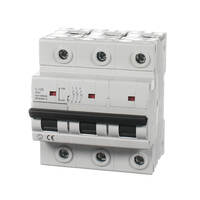 NLS 30392 | 100 Amp Three Pole Circuit Breaker 10KA additional image