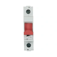 NLS 30541 | Isolating Mains Switch 1 Pole 100A 240V/415V additional image