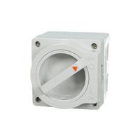 NHP NLINE NL120S | Weatherproof Isolator 2 Pole 20 amp M100 250v | Small additional image