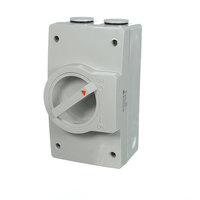 NHP NLINE NL140L | Weatherproof Isolator 2 Pole 40 amp M120 250v | Large additional image