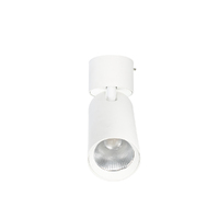 SAL SMT9017TC-WH | LED Surface Spot Light | 10/15W | White additional image