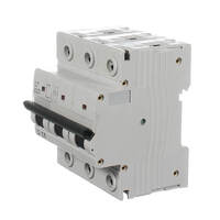 NLS 30392 | 100 Amp Three Pole Circuit Breaker 10KA additional image