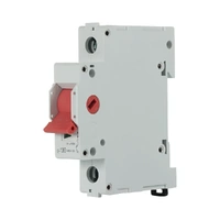 NLS 30541 | Isolating Mains Switch 1 Pole 100A 240V/415V additional image