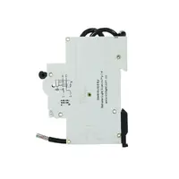 NLS 30840 | 25A RCBO Single Pole 6KA Atype / Tails additional image