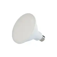 SAL LPAR38TC | PAR38 LED Floodlight Bulb 12W IP65 | E27 | CCT additional image