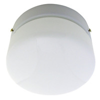 Ceiling Fan Lights image