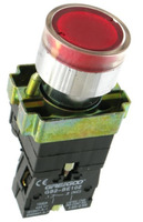 Pilot Lights & Push Buttons image