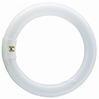 32w Triphosphor Circular Tube 5000k | 10014
