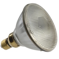 PAR38 150w ES Floodlight | 10352