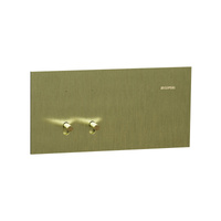 Clipsal 1042TA-BB | Solis T Series 2 Gang Switch 20A/16AX | Brushed Brass