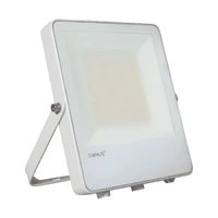 Domus 19935 | Blaze Pro Marine 100W White LED Floodlight Tri Watt & CCT | IP66 IK08