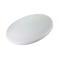 NLS 20343 | 24W LED Emergency Oyster Light 300mm Tri-CCT | 2400lm