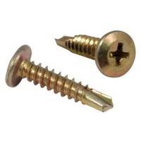 Screw wafer head self drilling 10 x 30mm (1000 pack) | 23WB1030