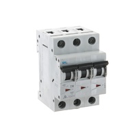 NLS 30383 | 10 amp Three Pole 6kA Circuit Breaker | DL