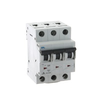 NLS 30388 | 40 amp Three Pole 6kA Circuit Breaker | DL
