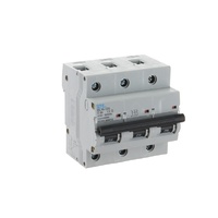 NLS 30391 | 80 Amp Three Pole Circuit Breaker 10KA