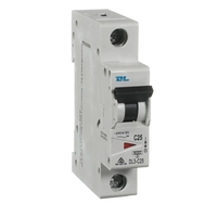 NLS 30439 | 25 amp Single Pole 6kA Circuit Breaker | DL