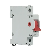 NLS 30541 | Isolating Mains Switch 1 Pole 100A 240V/415V