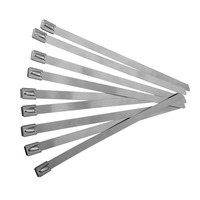 Wattmaster ALCTIE201-SS | Cable Ties Stainless Steel 201mm x 4.6mm (100) Pack