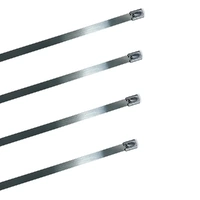 Cable Ties Stainless Steel ALCTIE362-SS | 360mm x 4.6mm (100) Pack