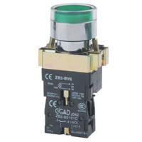 Illuminated Push Button GREEN LED 240V AC | IPB-G/LED240