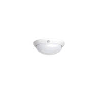 Nelson Oyster Sensor Light | MPES761