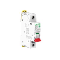 Clipsal MX9MS1100 | MAX9 Main Switch 1P 100A