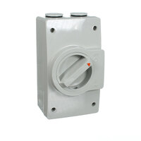 NHP NLINE NL140L | Weatherproof Isolator 2 Pole 40 amp M120 250v | Large