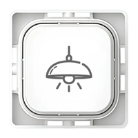 Clipsal Iconic SD-Ceiling-Light-PB-VW | Custom Engraved Ceiling Light Pictogram Push Button Dolly | Vivid White