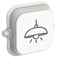 Clipsal Iconic SD-Ceiling-Light-VW | Custom Engraved Ceiling Light Pictogram Rocker | Vivid White