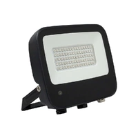 ANL Lighting VBLFL-54W-4-RGB | Vibe LED RGB 54W Floodlight | IP65