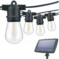 ANL VBLSPFEST-3K | 15 BULB SOLAR POWERED FESTOON LIGHTS 3000K | 20,000Hrs