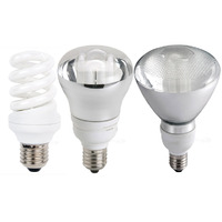LED Light Globes
