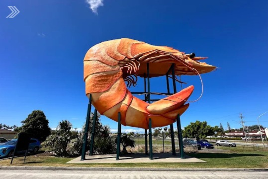 Ballina image
