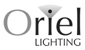 Oriel OL50800BP | Picture Light Indoor Plated Wall Light | Brass