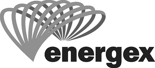 ENERGEX EXCY234-1 | Energex Crocodile Padlock With One Key